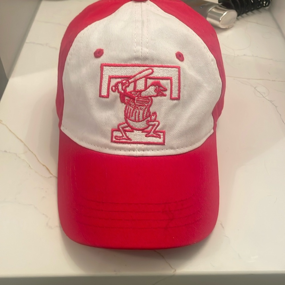Toledo mud hens hat